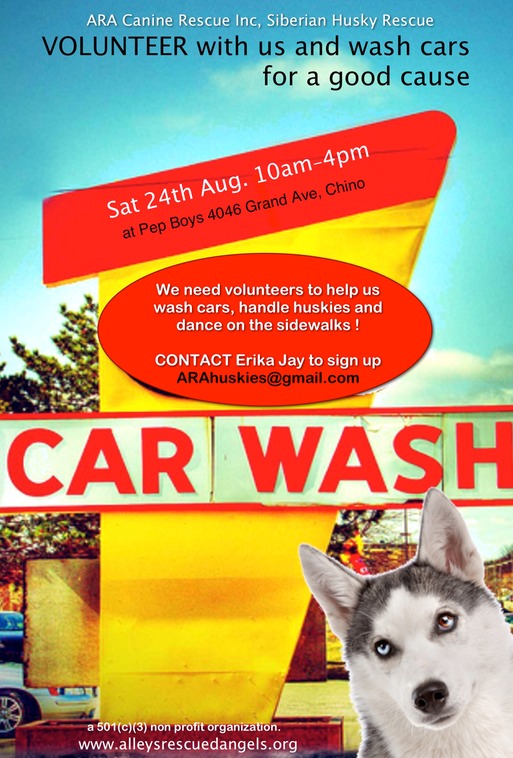 ARA car wash volunteers