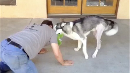 baby-knees-and-sean-do-the-2