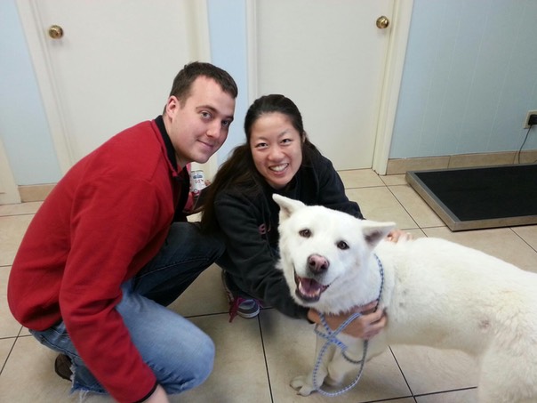 Bunny the Akita Adopted